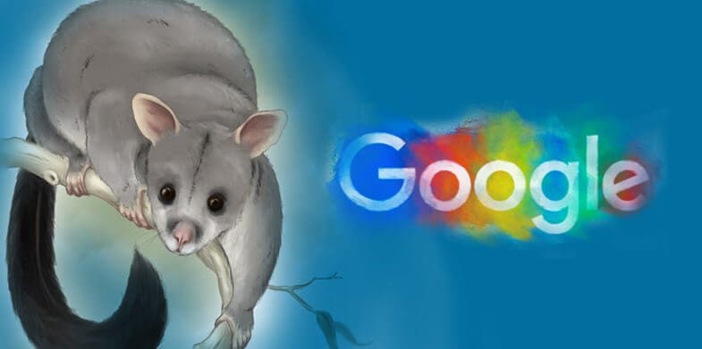 Google’s Possum Update