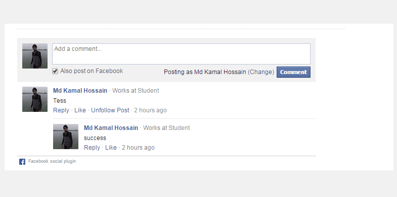 Facebook Comment Boc