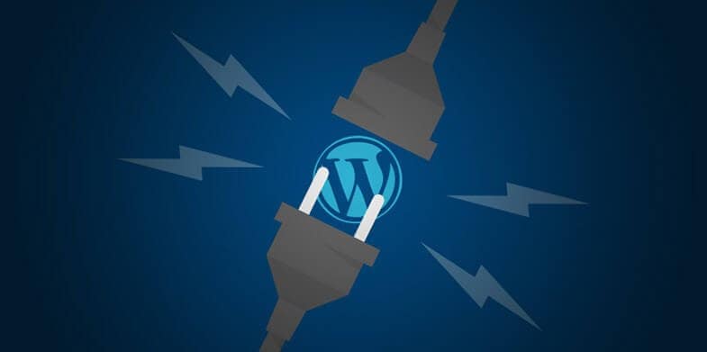 Ignoring These WordPress Plugins