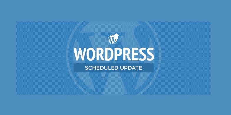 Ignoring WordPress Update