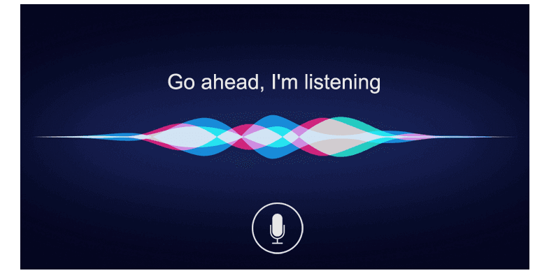 Activate Voice on Website