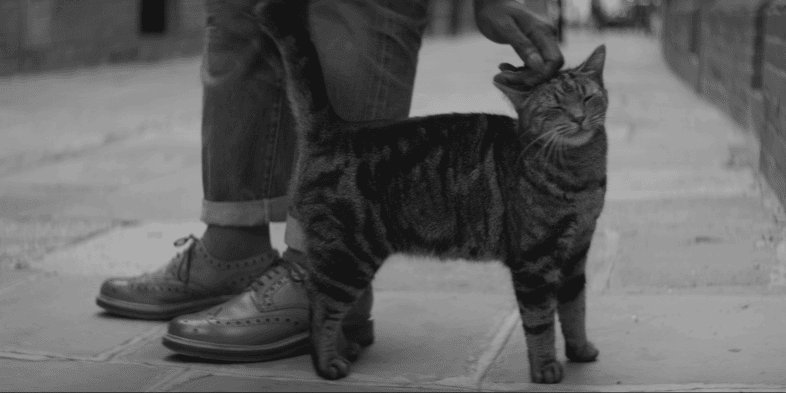 Cinematic fashion film shot featuring authentic lifestyle video production on Brick Lane in London.