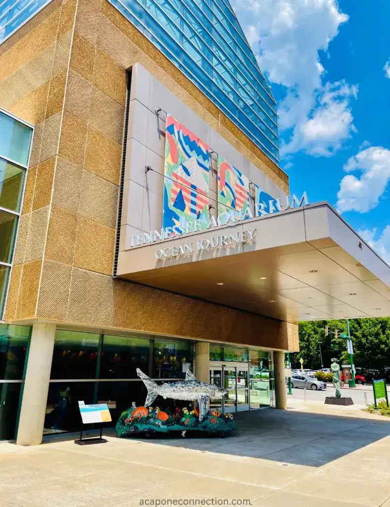Fun Things to do in Chattanooga Tennessee Aquarium