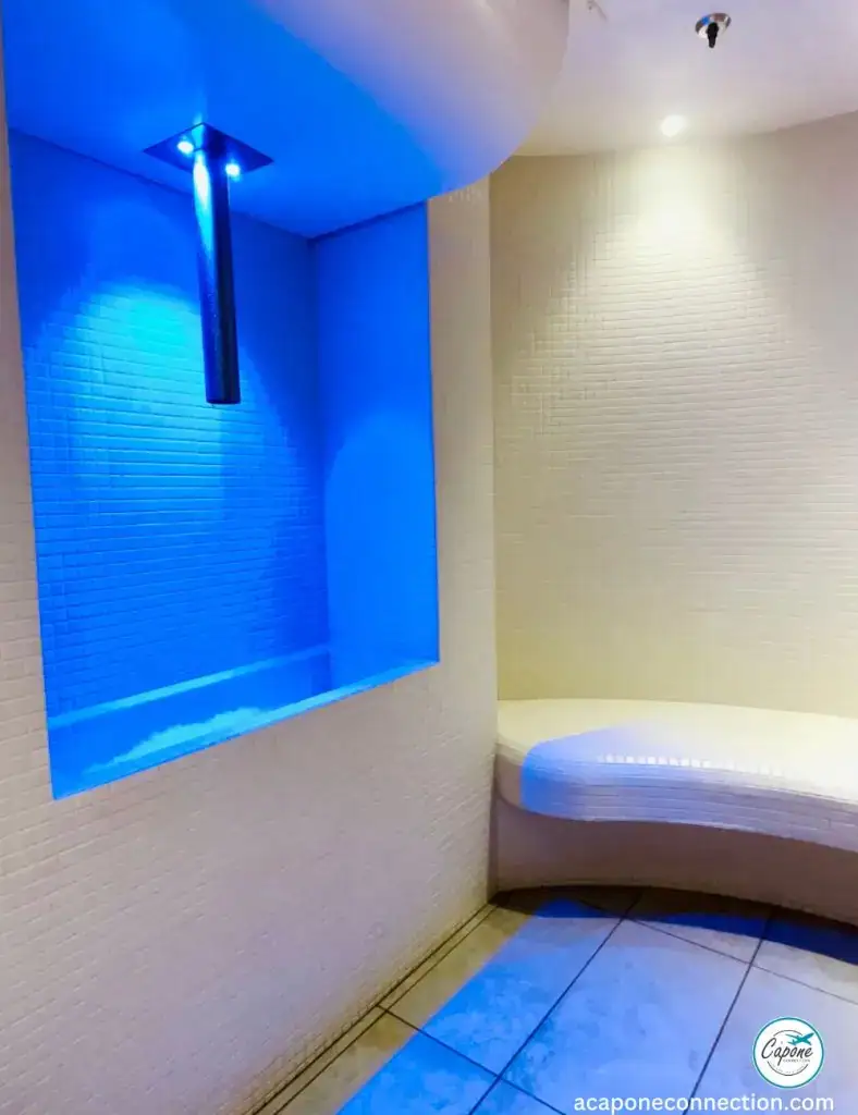 MSC Cruise Review Spa Ice Bath