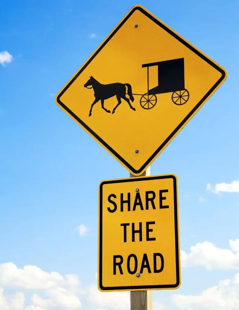 Share the Road Horse and Buggy Sign