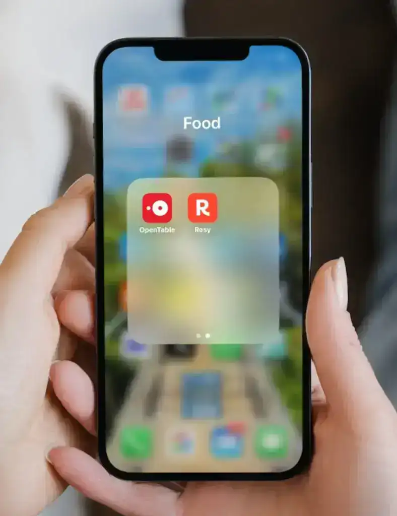Holidy Travel Tips and Hacks Food Apps