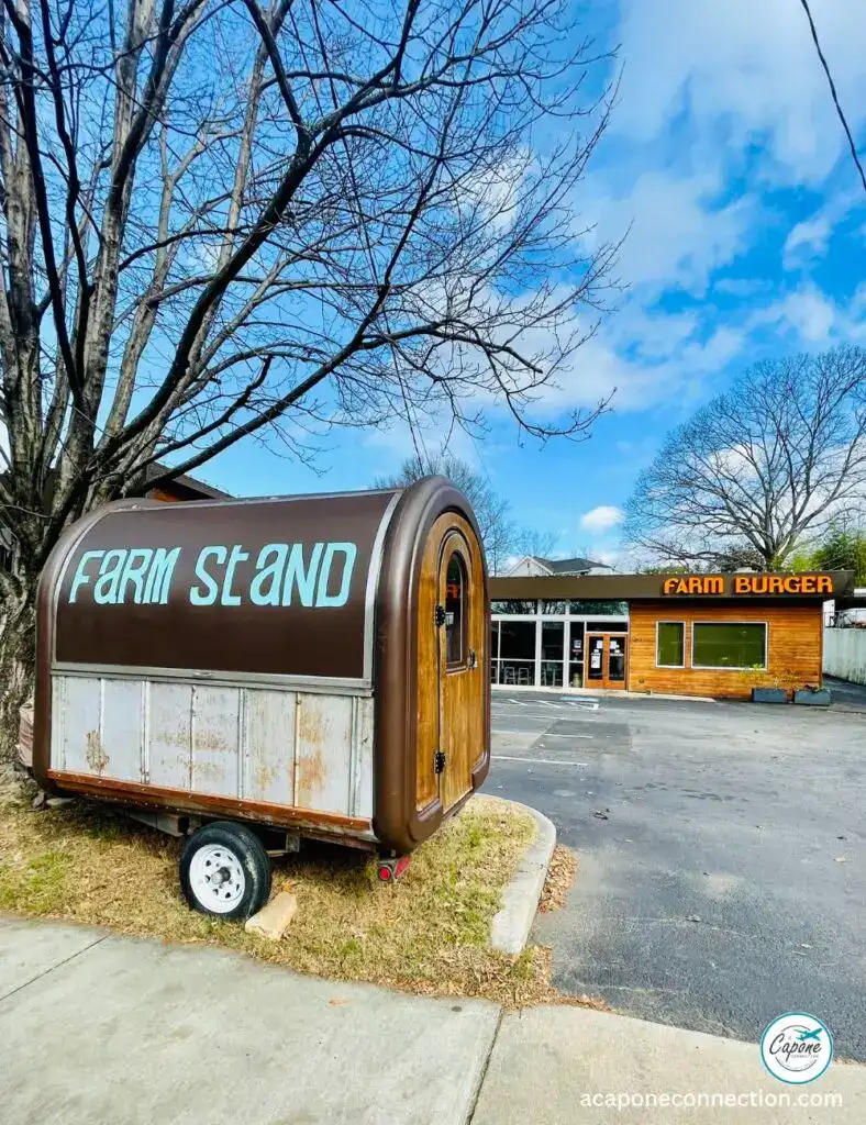 Lunch Spots in Atlanta Farm Burger