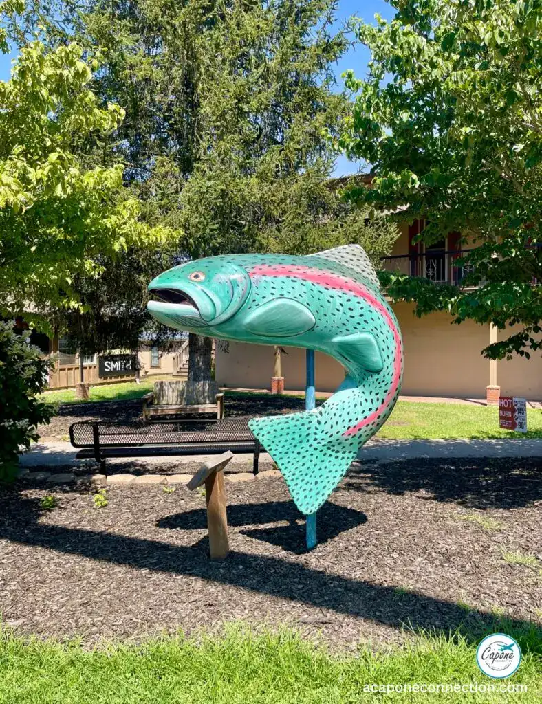 Downtown Bryson City Street Art