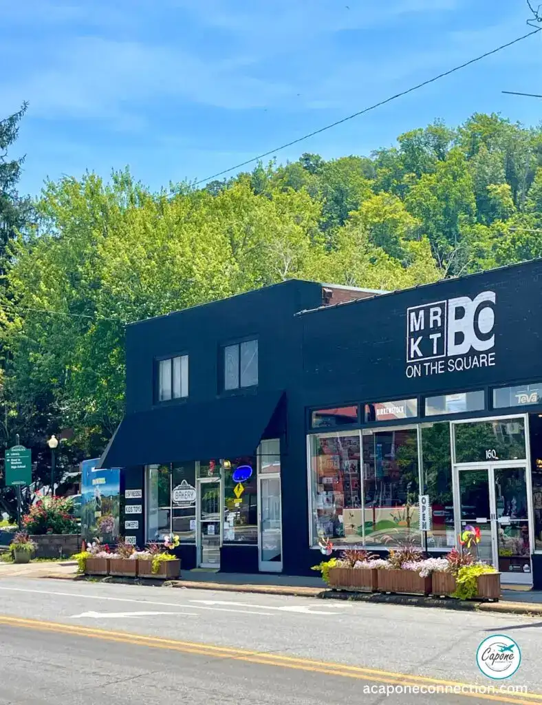 Shopping Downtown Bryson City