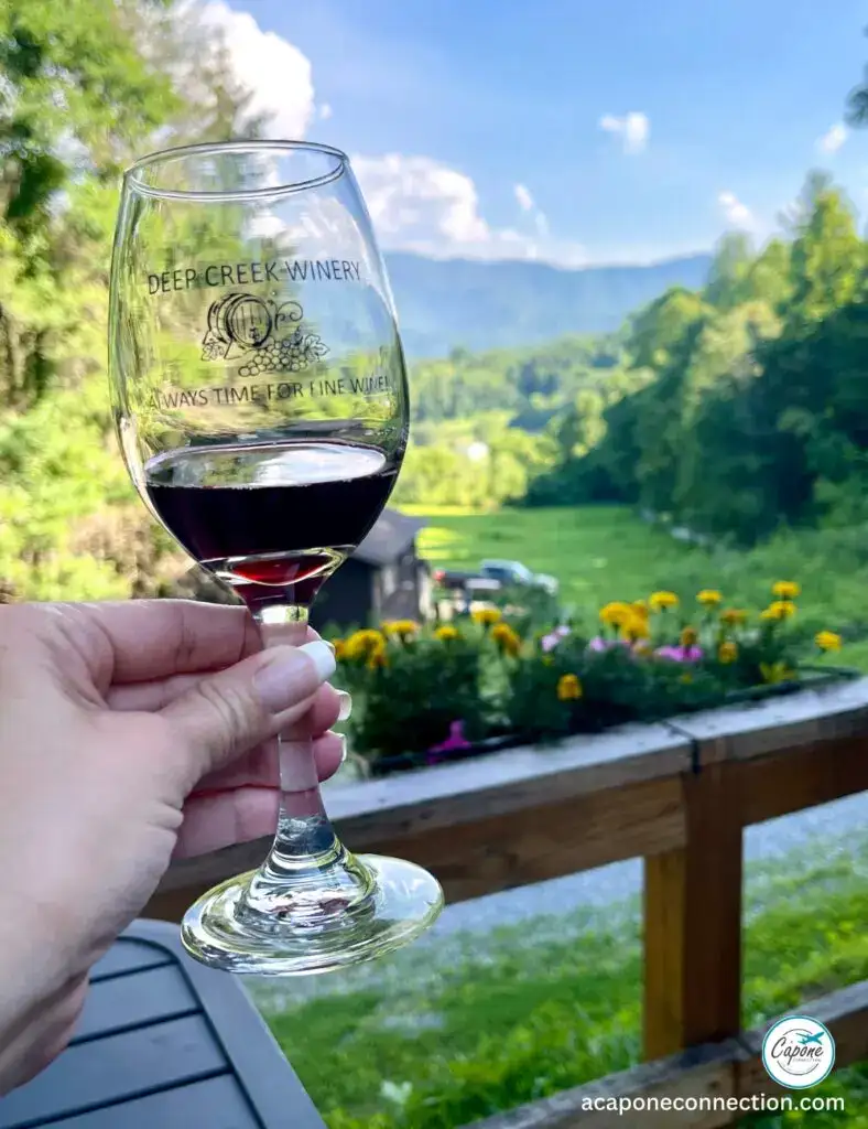 Things to Do Around Bryson City Wine Tasting
