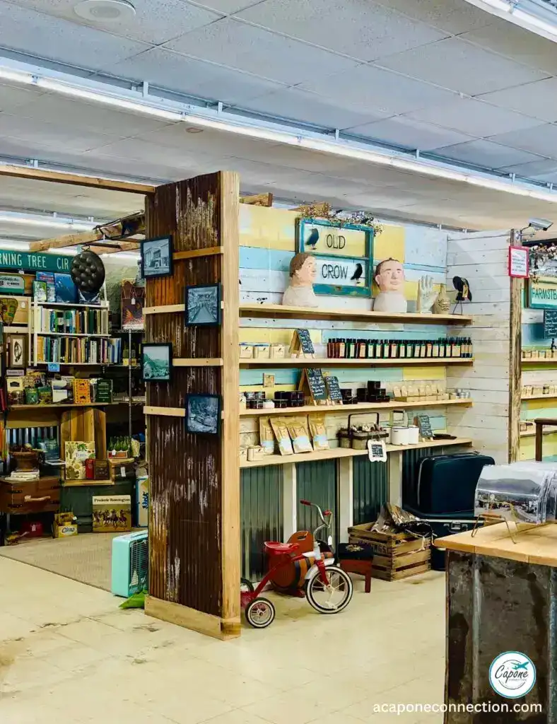 Unique Things to Do in Bryson City NC Auction