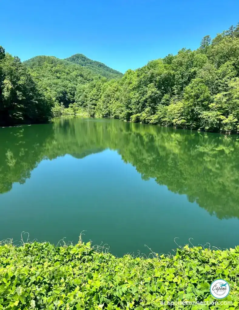 Bryson City Outdoors