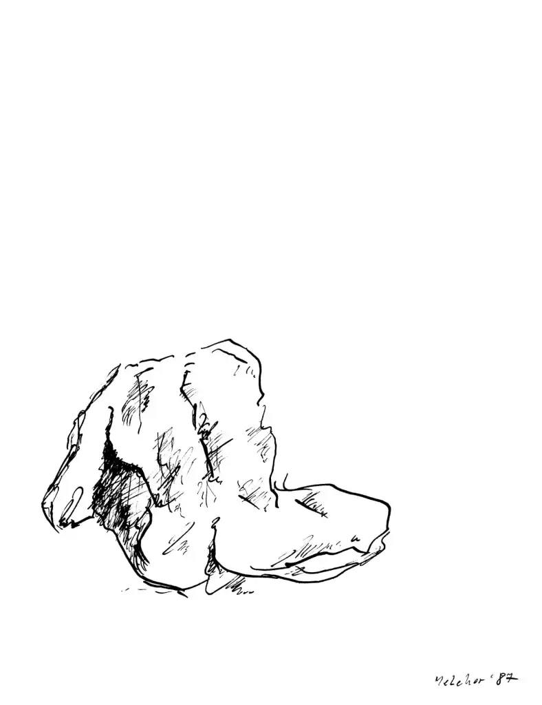 modern body drawings, male nude sitting in the studio by olaf melcher
