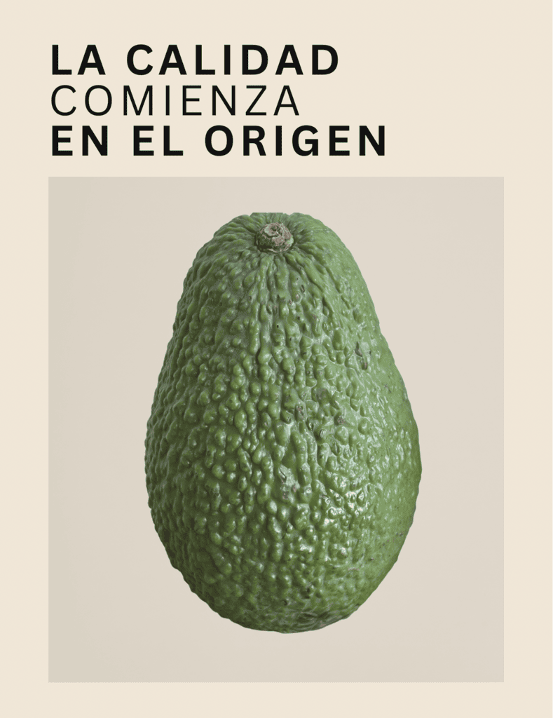 productores de aguacate en origen