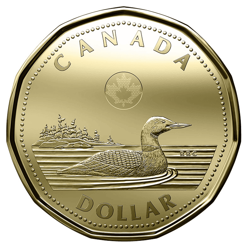 Loonie plunges, gas prices drop, price of oil collapses