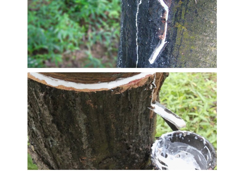 Mini loop weerstandsbanden set 5 stuks