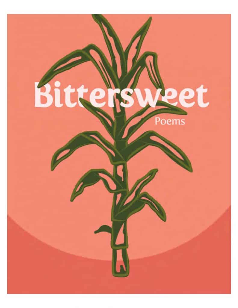 Book Cover of Translated from the Gibberish