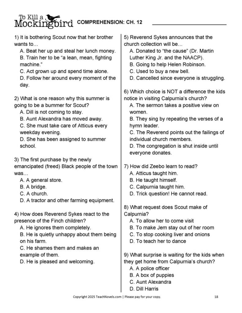 To Kill a Mockingbird Chapter 18 comprehension questions