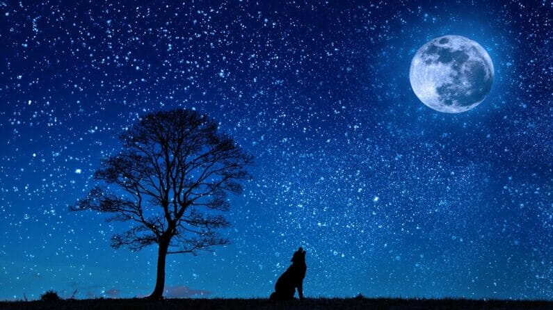 夜空と月