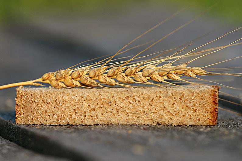 Guanyar múscul de manera saludable Augmentar la musculatura a través de l'alimentació