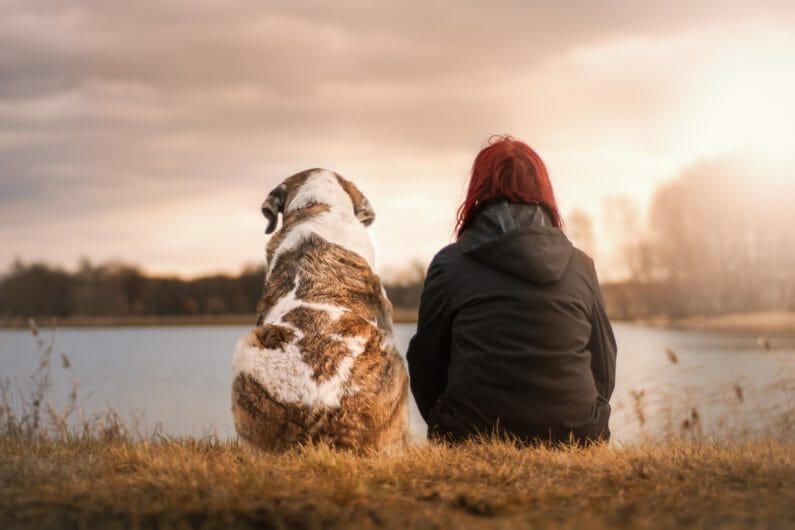 犬と友達