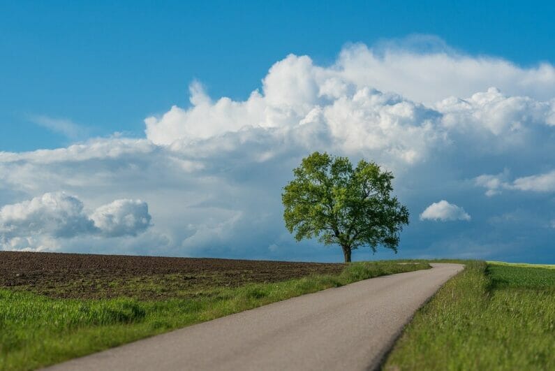 青空の下、続いている道