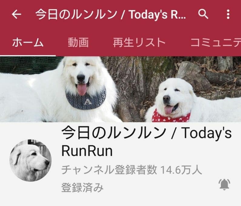 今日のルンルン-youtube－癒し
