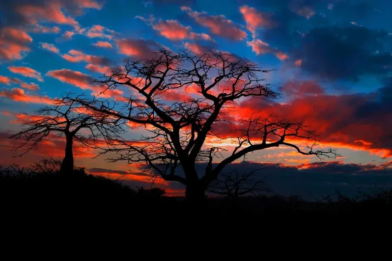 Mudarse a Angola - Puesta de sol en Angola