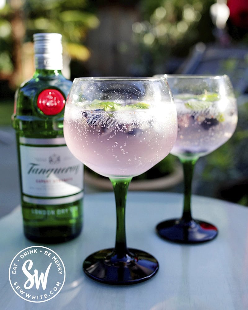 Blueberry Gin and Tonic Recipe - gin and tonic ideas