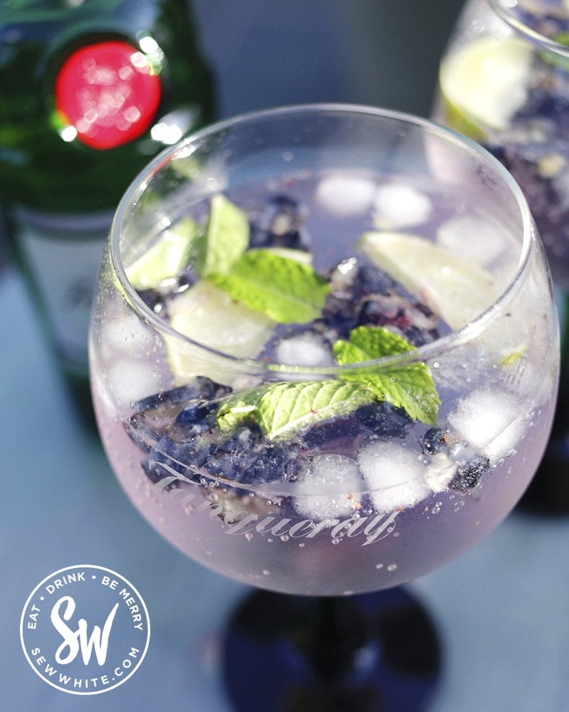 a close up of a gin glass with blueberries and mint