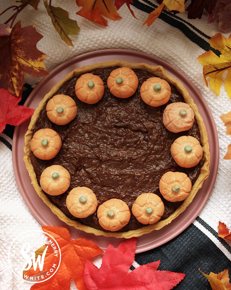 chocolate pumpkin tart on a pink plate and white background.