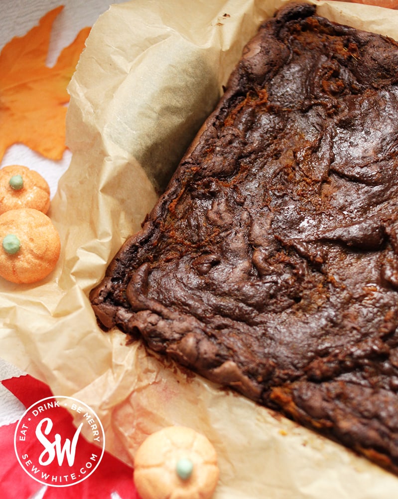 ready to cut the fudgy chocolate brownies with pumpking