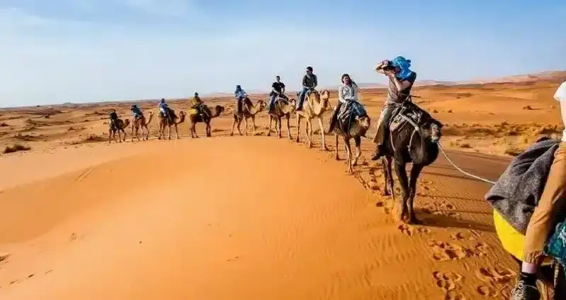 Why Morocco Desert Trips is the Best Morocco Travel Company