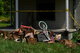 SHOCK: 16 children rescued from Ohio home were almost feral, authorities say…