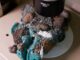 Brazilian scientists discover ‘scary’ plastic rocks on remote island