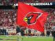 Ex-exec accuses Cardinals, owner of defamation