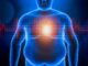 Fat Growing Around Muscles Could Be a Silent Killer