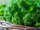 Having Lung Problems? Eat Your Veggies, Science Says