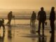 Oregon officials close entire coast to mussel harvesting due to shellfish poisoning
