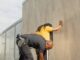 Police Searching For Persons of Interest in Wild California Fight Video