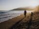 Adam Carolla Says Malibu Residents Will Return, Insurance Companies Might Not