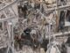 PHOTOS REVEAL SHOCKING DAMAGE IN TEL AVIV AND HAIFA…
