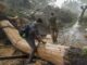 Death toll in central Texas flash floods rises to 82 as sheriff says 10 campers remain missing