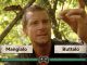 you vs wild netflix bear grylls larva