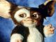 gremlins gizmo