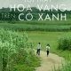 Phim điện ảnh "tôi thấy hoa vàng trên cỏ xanh" được xếp vào loại hình nào?
