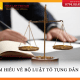 Tìm hiểu về Bộ luật tố tụng dân sự.