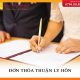 Đơn thỏa thuận ly hôn