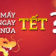 Mấy ngày nữa Tết?