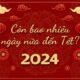 Còn mấy ngày nữa tới tết: